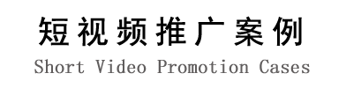 上海SEO優(yōu)化案例