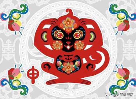 生肖謎題解析：四六綠紅花招暗指猴年運(yùn)勢(shì)