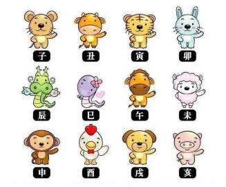 知根知底代表什么生肖？揭秘最懂人心的屬相特征